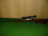 JW15 kisgolyós